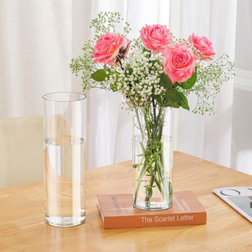 Acrylic Cylinder Plastic Vase for Centerpiece, Unbreakable Hurricane Tall Large Plastic Vases for Proposals Wedding, Hydroponic Decor Base Set of 2 with DIY Stickers(D 4" + D 4.8" X H 12" Clear) - color: 2 Clear-b