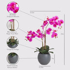 CG Hunter Faux Pink Orchid Plant, Premium Artificial Indoor Flower Display Stands 25-Inches with Beautiful Sculptural Blooms and Foliage that Lasts Forever, Grey Planter Pot Included - size: 25" Pink Double Stem