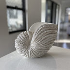 Nautilus Shell Sculpture - Replica Beach Themed Ocean Decor for Home - Rustic White Resin 10¼" x 6" x 8" Crafted Coastal Seashell Shelf Decor Gift-Boxed