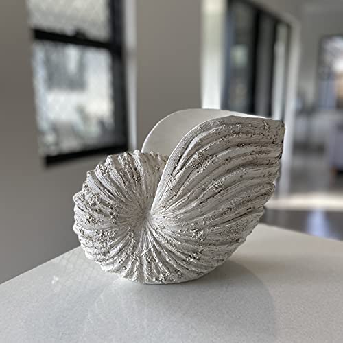 Nautilus Shell Sculpture - Replica Beach Themed Ocean Decor for Home - Rustic White Resin 10¼" x 6" x 8" Crafted Coastal Seashell Shelf Decor Gift-Boxed