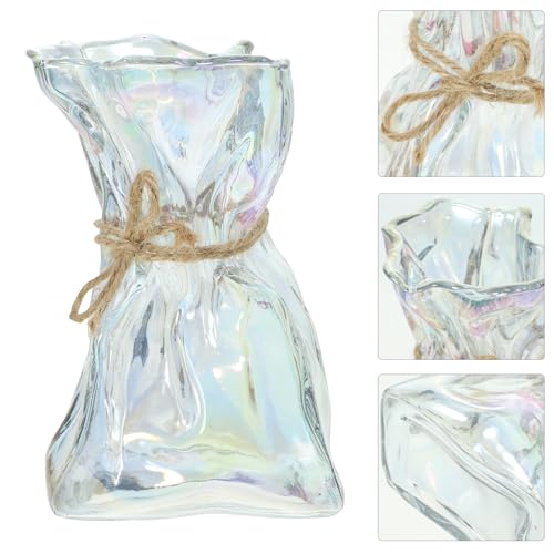 Alipis Abstract Irregular Glass Vase Decorative Flower Holder Hydroponic Floral Arrangement Modern Home Décor Art Centerpiece for Living Room and Office