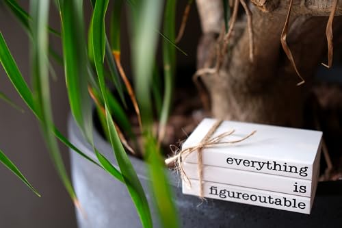 Farmhouse Motivational Wooden Office Desk Decor, Cute Decorative Books for Shelf Decoration, Inspirational Gifts for Women Men - Everything is Figureoutable Sign - color: Figureoutable