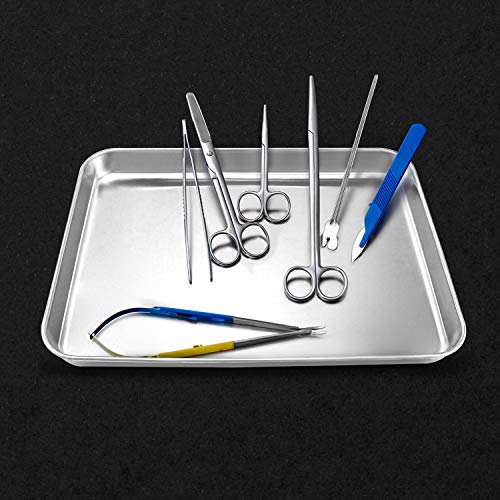 QWORK 2 Pack Stainless Steel Instrument Tray Multipurpose Tray for Lab Instruments, Craft Tools, Household Organization,10 5/8" x 6 11/16" x 1 5/16", Flat Bottom - color: 2 Pack, size: 10 5/8" x 6 11/16" x 1"