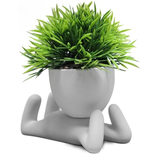 Zerzsy Faux Succulents in Cement Pots Potted Mini Fake Plants for Desk Decoration, Kitchen Shelf Decor, Office Decor for Women, Bathroom Shelf Plant Decor - Set of 1 - color: Cement Gray-a
