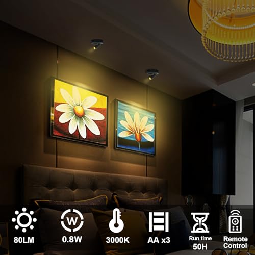 HAMVIDNE Battery LED Spotlight, Indoor Spotlights, Battery Powered Spot Lights with Remote, Up Lighting for Plants, Picture Light for Wall Art Display Dartboard Painting Artwork Accent-2Pack - color: Black