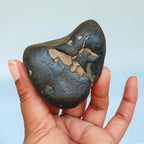 Rare Lakshmi Narayan Shaligram Shila Stone 2" inch from Gandaki River Nepal – 1 Pc Black Shaligram Ji for Pooja, Hindu Rituals, Spiritual Decor & Religious Gifts
