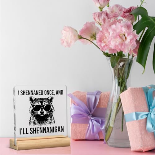Raccoon Funny Office Decor Funny Desk Decor Sarcastic Gifts Coworker Gifts Acrylic Humor Gift for Women Men Boss Coworker Home Office Decorations - color: I Shennaned Once，And I'll Shennanigan