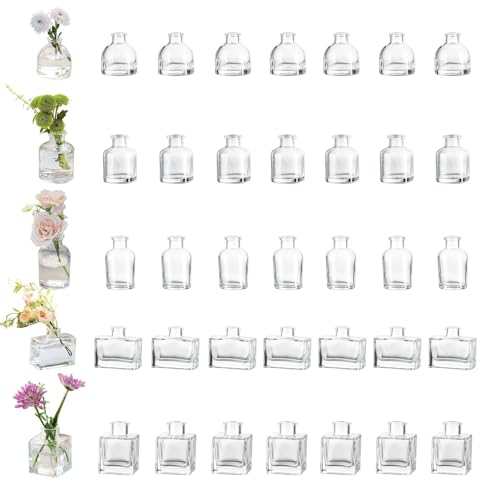 Glasseam Mini Bud Vases in Bulk 40: Clear Small Flower Vases for Centerpieces Cute Tiny Glass Vase for Flowers Modern Decorative Wedding Table Centerpiece for Dining Room Decor - color: 01-clear