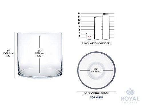 Royal Imports Flower Glass Vase Decorative Centerpiece for Home or Wedding - Cylinder Shape (4" Wide x 4" Tall, Clear) - size: 4" wide x 4" tall