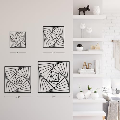 SIGNLEADER Metal Wall Decor Spiral Lines Minimalist Modern Luxury Wall Sculpture Hangings 3D Statue Home Decoration for Living Room, Bedroom, Bathroom, Kitchen, Fireplace, Office - 18" Black - color: Gry32-2405-m32, size: 18" Black