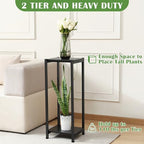Dipion Tall Plant Stand Indoor,31 Inch Plant Stands,2 Tier Metal Plant Stand with Heavy Duty Wood,Black