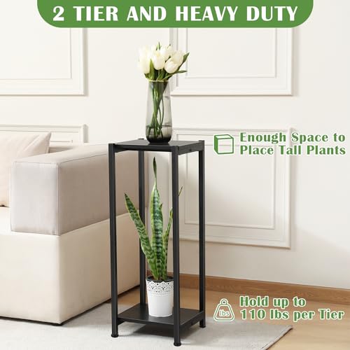 Dipion Tall Plant Stand Indoor,31 Inch Plant Stands,2 Tier Metal Plant Stand with Heavy Duty Wood,Black