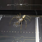 Steampunk Spider Metal Model Kit for Adults – DIY Mechanical Insect Sculpture with Brass Gear Details, 3D Retro Industrial Art Puzzle Craft for Home Office Decoration & Collectors Gift (Frons Spider) - style: Frons Spider