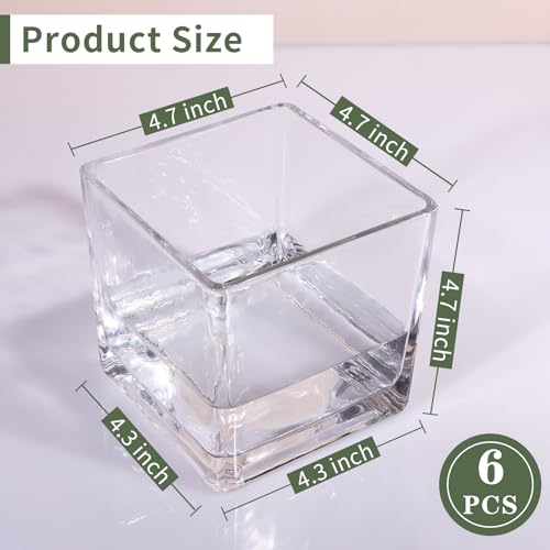 PINIWON 6 Pack Square Glass Vases 5 x 5 x 5 Inch, Clear Cube Flower Vases for Centerpieces, Candle Holders for Wedding Party Home Decor