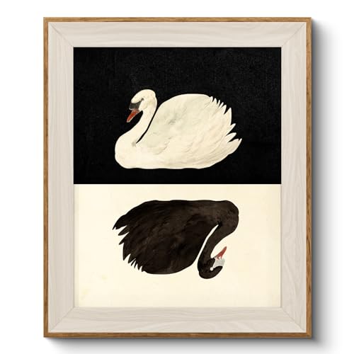 VIYYIEA Framed Wall Art for Living Room, Swan Canvas Prints, Vintage Home Decor, Animals Painting Picture, Bathroom Wall Decor Gifts for Friends or Family - 12L x 10W - color: Animals-【Black and White】, size: 12"L x 10"W