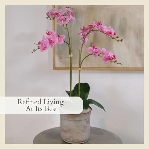 CG Hunter Faux Pink Orchid Plant, Premium Artificial Indoor Flower Display Stands 24”, Beautiful Sculptural Blooms That Lasts Forever, Grey Planter Pot Included - size: 24" Pink 2-Stem Orchid