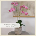CG Hunter Faux Pink Orchid Plant, Premium Artificial Indoor Flower Display Stands 24”, Beautiful Sculptural Blooms That Lasts Forever, Grey Planter Pot Included - size: 24" Pink 2-Stem Orchid