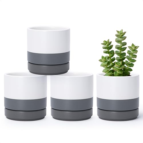 D'vine Dev Set of 4 Small Ceramic Plant Pots, 4.7 Inch Succulent Planter Pot for Plants with Drainage Hole and Saucer, White/Speckled Grey, 94-X-B-6 - color: White/Speckled Grey, size: 4.7 Inch