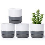 D'vine Dev Set of 4 Small Ceramic Plant Pots, 4.7 Inch Succulent Planter Pot for Plants with Drainage Hole and Saucer, White/Speckled Grey, 94-X-B-6 - color: White/Speckled Grey, size: 4.7 Inch