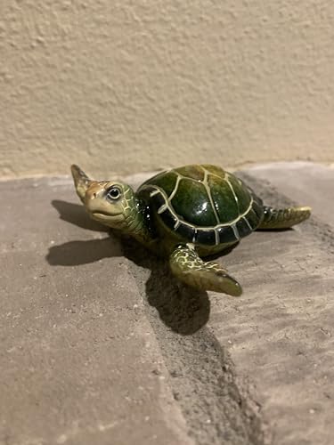 Ain’t It Nice Sea Turtle Statue Coastal Ocean Beach Decor Gifts Figurine Beach Room for Home and Office Marine Collectible Sculpture, Green 3.5(L) 4(W) 1.25(H) Inches - color: Green 1