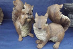 Design Toscano Woodland Squirrel Statue: Chomper - style: Chomper