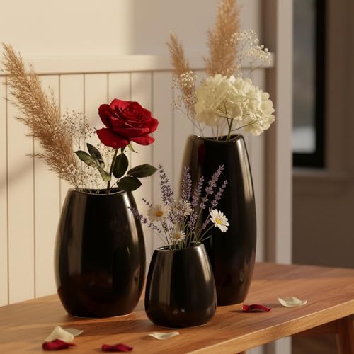 hjn Ceramic Vase Set of 3 Black Flower Vase for Home Decor, Modern Decorative Vase for Flowers/Ideal Shelf Decor/Table/Living Room/Kitchen/Office-Black - color: Black