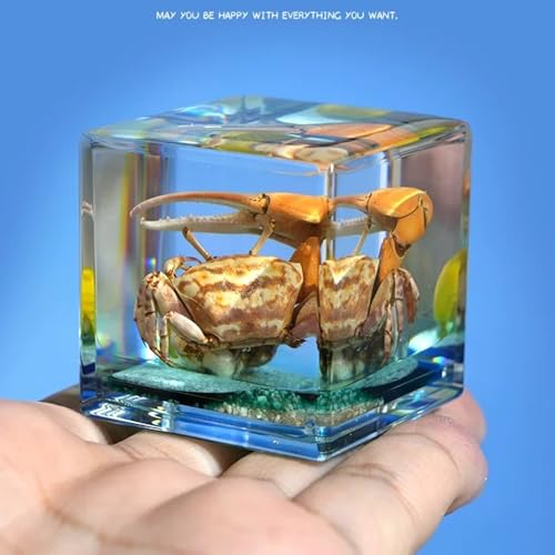 4Pcs Marine Taxidermy in Resin, Interesting Square Marine Microlandscape Specimen Set for Back-to-School Gift Oddities Paperweights Scientific Education Supplies（1.57x1.57 inch） - color: Marine Animals A