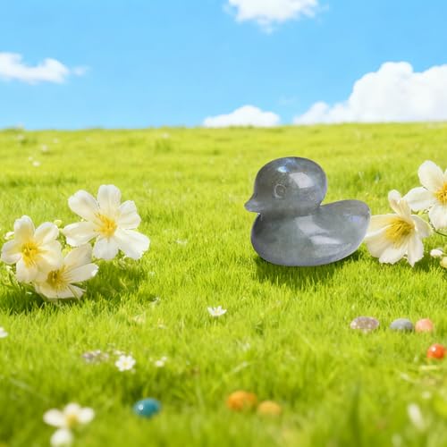 QINJIEJIE 1.5" Crystal Duck Decor Labradorite Figurine Healing Stone Polished Hand Carved Sculpture Cute Statue Reiki Gemstone Room Desk Office Home Decoration Funny Duck Gifts - color: Labradorite