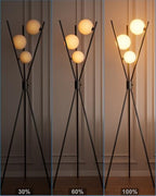 3 Globe Dimmable Tripod Floor Lamp, Mid Century Standing Lamps with 3Pcs 3000K Bulbs Included, Modern Tall Lamp for Living Room Bedroom Office-Black - color: 3 Globe-Black