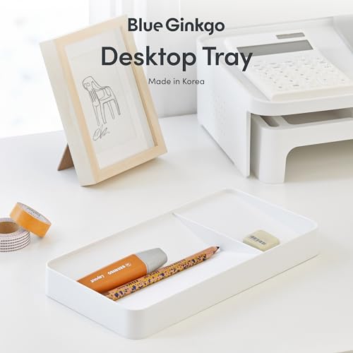 BLUE GINKGO Desk Tray – Korean-Made Organizer for Notes, Pens, Pencils, and Accessories (Double-sided, White) - color: WHITE, size: TRAY