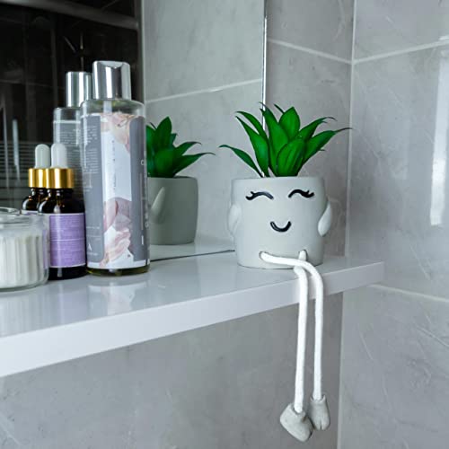 OLEEK Small Fake Plant Office Desk Decor - Desk Plants for Office Decorations for Work - Decorative Plants Decor - Funny Office Decor for Women - Fake Succulents Plants Artificial Home Decor Shelf - size: collection B (set of 3)