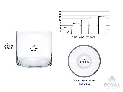 Royal Imports Flower Glass Vase Decorative Centerpiece for Home or Wedding - Cylinder Shape, 5"x5", Clear - size: 5" wide x 5" tall
