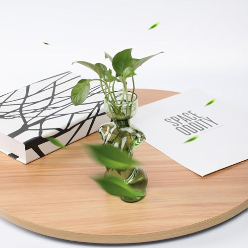 Propagation Vases for Plants Plant Propagation Jars Unique Body Avocado Vase Glass Planter Perfect for Seed Starting Water Rooting and Home Decor Gift for Father - color: Green
