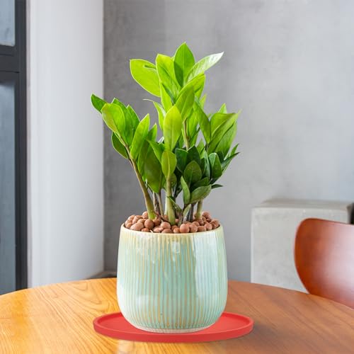 PATIKIL 6 Inch Round Ceramic Plant Saucer, Plant Saucer Tray Flower Planter Drip Tray for Indoors Outdoors Patio Balcony, Terracotta - color: Terracotta