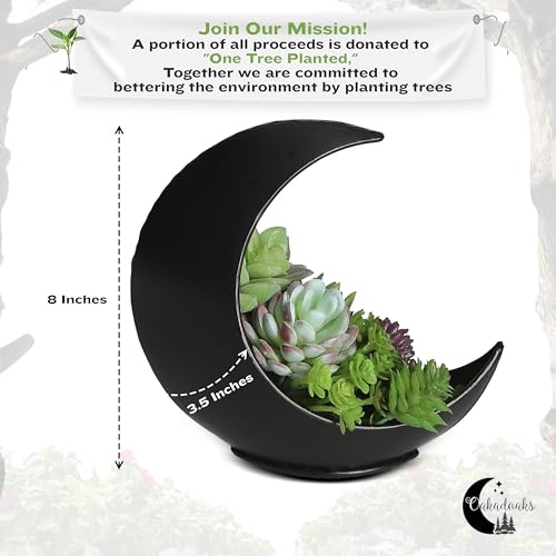 Table Planter - Desk Moon Planter – Candle Holder - Boho Planters for Indoor Plants, Succulents, Air Plant, Cactus, Faux, Artificial Plants -Witchy Gifts for Women, Birthdays, Plant Lovers - color: Black