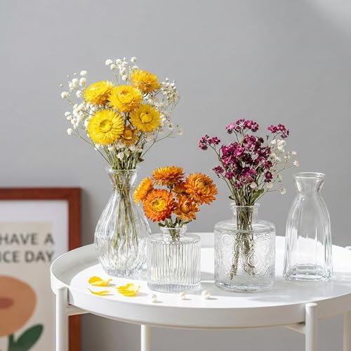 Glass Bud Vases Set of 4, 4 Sizes of Small Flower Vase for Party or Home Table Decorations