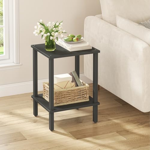 TUTOTAK End Table, Side Table, Nightstand, 2-Tier Storage Shelf, Sofa Side Table for Small Space, Living Room, Bed Room Black TB01BK034 - color: Black