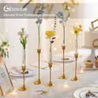 Glasseam Glass Bud Vase for Flowers: 6pcs Clear Small Vases for 22mm Candlestick Taper Candle Holders - 5.9" Skinny Table Centerpieces with Silicon Case for Tablescapes, Wedding Gift and Home Decor