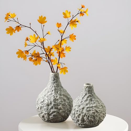 Stone Vases，Ceramic Bud Vase Set of 2,Minimalist Vases for Pampas Grass,Modern Vase for Wabi Sabi Home Decor, Shelf Decoration，Fireplace Decor,Coffee Table Decor - color: 109-1