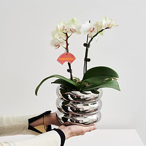 Ceramic Plant Pot Indoor, 4.5 Inch Flower Pot with Drainage Hole, Small Bubble Design Ceramic Planter for Home & Office Decor (Silver) - color: S-silver, size: 4.7inch