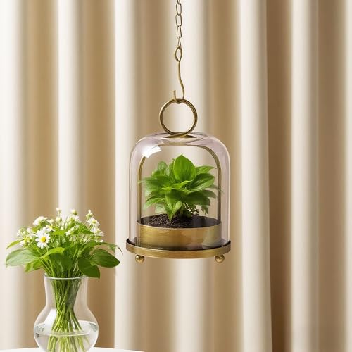 5"x7.5" Versatile Modern Metal Hurricane Lantern with Handmade Sturdy Glass Dome in Antique Brass for 3" Pillar Candle & Plants, Industrial, Farmhouse, Shabby Chic (Brass, 5"x7.5" for 3" Pillar) - color: Brass, size: 5"x7.5"