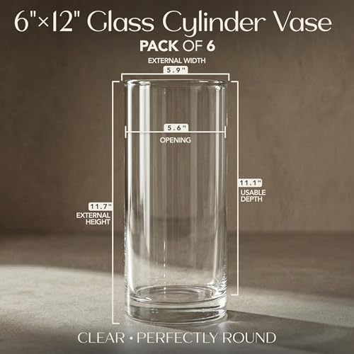 Glass Cylinder Flower Vase Centerpieces for Tables 6"x 12" Tall (11.1" Usable Depth) Set of 6- Glass Vase Candle Holders Wedding Decor Vases for Centerpieces, Home & Event Decorations - Royal Imports - size: 6" wide x 12" tall - Set of 6