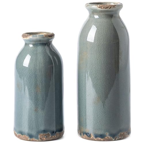 VICTOR & TERESA Blue and Grey Ceramic Vase Home Decor, Farmhouse Vases for Flowers, Flower Vase Set of 2, Rustic Decorative Vases for Pampas Grass, Table, Living Room, Shelf, Centerpieces, 8 inch - color: Blue and Grey