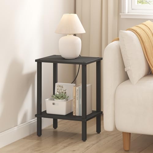 TUTOTAK End Table, Side Table, Nightstand, 2-Tier Storage Shelf, Sofa Side Table for Small Space, Living Room, Bed Room Black TB01BK034 - color: Black