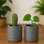D'vine Dev Set of 2 Plants Pots, 3.5 Inch Ceramic Planter Pot for Plants with Drainage Hole and Saucer, Speckled Grey, 94-V-A-3 - color: Gray, size: 3.5 Inch