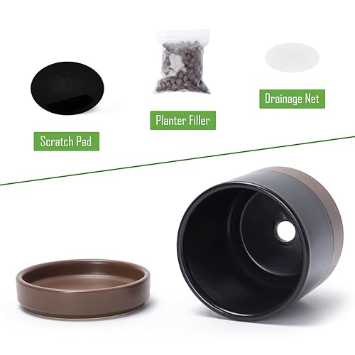 D'vine Dev Set of 4 Small Ceramic Plant Pots, 4.7 Inch Succulent Planter Pot for Plants with Drainage Hole and Saucer, Black/Speckled Tan, 94-X-B-7 - color: Black/Speckled Tan, size: 4.7 Inch