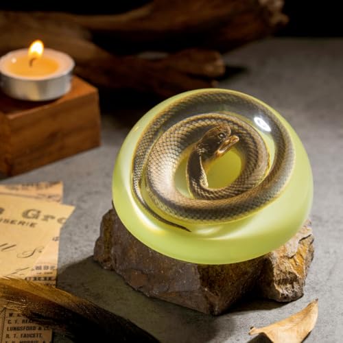 Real Snake Specimen in Dome Resin - Naturally Deceased Snake with Glow-in-the-Dark Effect, Perfect for Science Education, Oddities Collectors, and Biology Enthusiasts (3.5 x 1.6 Inches) - color: Snake Specimen (3.5" X 1.6")