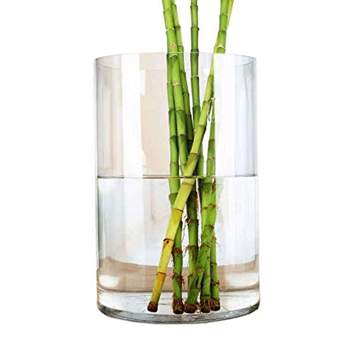 WGV Cylinder Vase, Width 8", Height 12", Clear Wide Large Diameter Flower Glassware, Floral Container, Planter Terrarium for Wedding Party Event, Home Accent Decor, 1 Piece - size: 8"x12"H