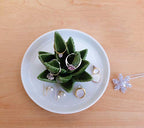 PUDDING CABIN Aloe Ring Holder,Cactus Ring Dish,Jewelry Holder Trinket Tray for Rings Earrings Necklace Organizer,Bridesmaid Christmas Birthday Gift for Women Girls - style: Aloe