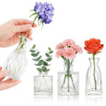 Glass Bud Vases Set of 4, 4 Sizes of Small Flower Vase for Party or Home Table Decorations